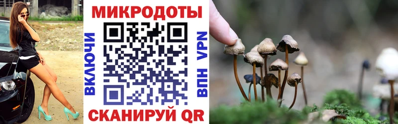 Купить где  Щёлкино  Галлюциногенные грибы мухоморы 